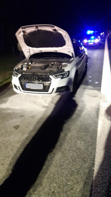 20221024_011132_resized bearbeitet groß.jpg